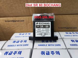Diot cầu trục SR-60 BOCHANG